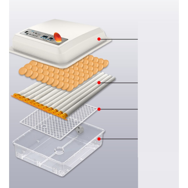 Fjærkreklekker og inkubator - Fullautomatisk smart inkubator for kylling, and, gås og duepapegge - Inkubator for 16 egg