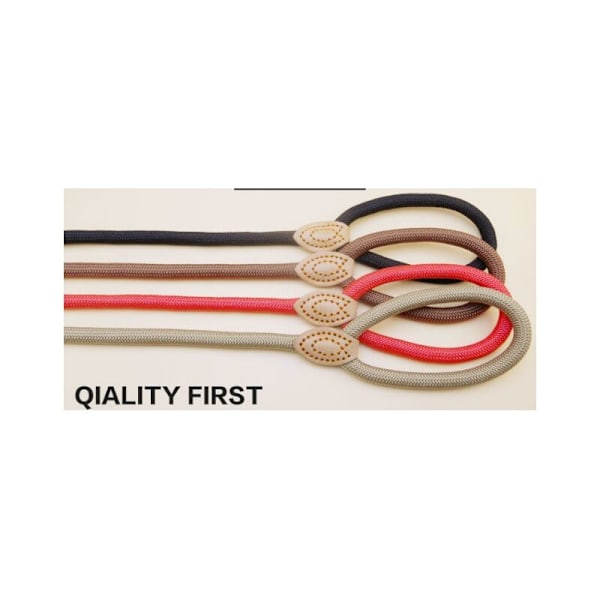 Kobbel hundetau 1.4cm x 180cm Kobbel for hund nylon med reflekterende polstret håndtak kobbel for valper, små, mellomstore og store hunder (Rød)