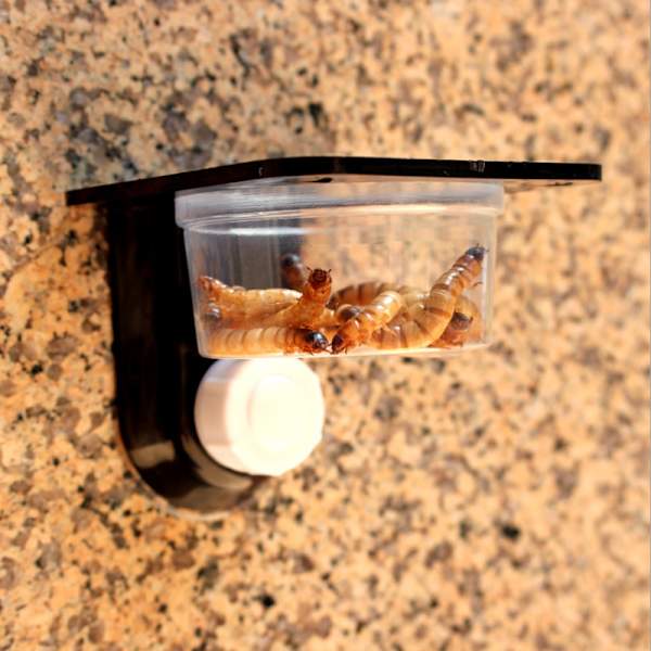 Reptilmatare, Dubbla Reptilmatningskoppar Plast Sugkopp Matare, för Reptiler, Insekter, Spindlar, Geckos, Vivarier 2PCS
