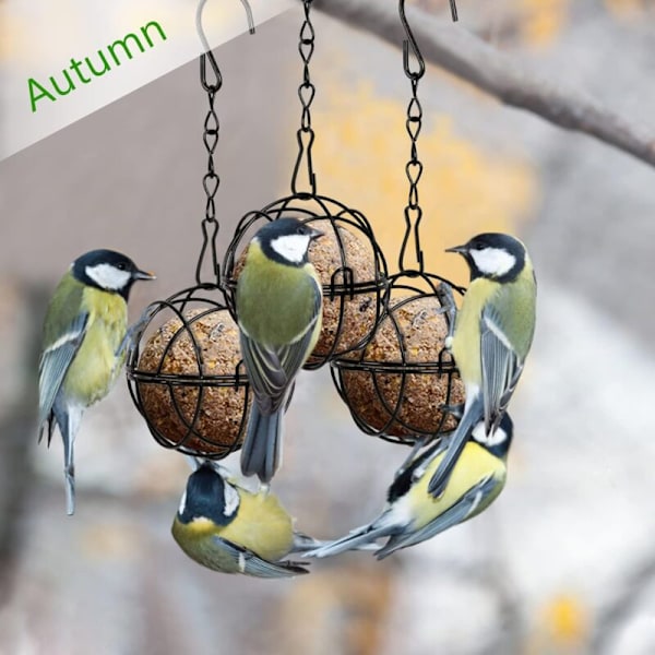 4 kpl Lintujen ruokintalaitteita metallisessa Porte Boule de bird -ripustimessa mustalla ulkokäyttöön sopivalla sisustuksella, halkaisija 7 cm, ruoanjakelija 4 S-muotoisella koukulla