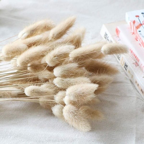 Naturlig Tørret Ovatus 90 Stk, Tørrede Harehaler Pampas til Blomsterarrangementer Bryllup Hjemmeindretning