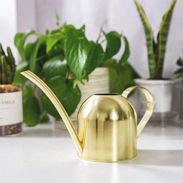 Vandkande i rustfrit stål, lille vandkande med lang tud til hus, indendørs, udendørs, have, sukkulenter, 500 ml (guld)