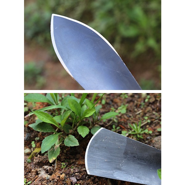 Transplanter Spade Hagearbeid Graving Vill Grønnsak Jern Spade Planting Hvitløk Blomst Rustfritt Stål Hvitløk Frøplante Spade Landbruks Grønnsak
