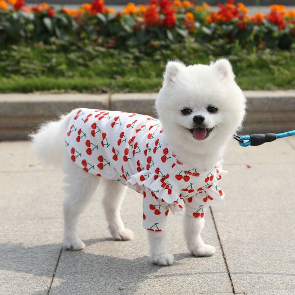 Koirakesävaatteet Chihuahua-mekko, Pieni koiramekko Joustava Pehmeä Mukava Helppo pukea ja riisua (XS, Valkoinen)