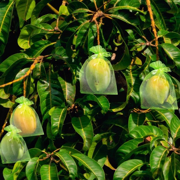 60 Fruktskyddspåse Nätpåsar Skydd av druvklasar Agai