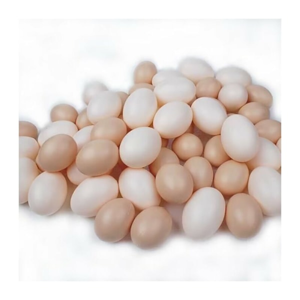 6 st Konstgjorda ägg falska höns äggläggningsholk i praktisk plast