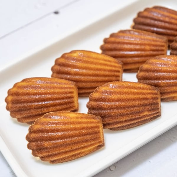 Röd - Silikon Madeleine-form, Madeleine-kakform Mini Silikonform för tårta Gelé Mousse Choklad (Set om 2)