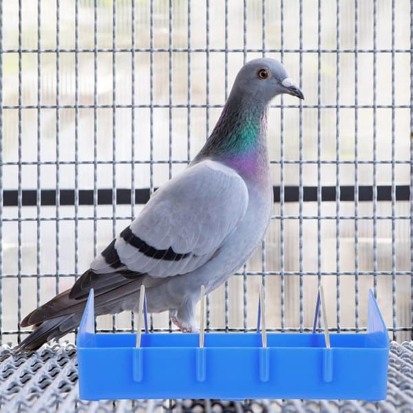 Stor Duvfoderare 2 Stycken 5 Fack Plastfågelmatare Matbricka Duvfoderbehållare Avelsverktyg för Små Kycklingar