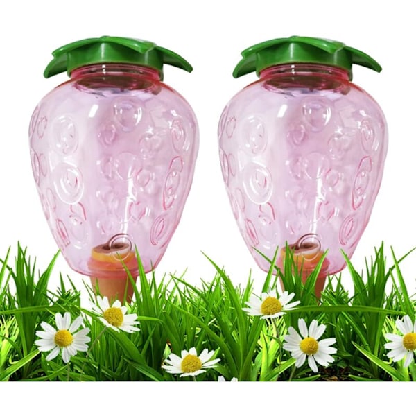 2 stk. Kegle Vandingsflaske 500ML, Ler Kugle Indendørs Plante, Automatiske Vandingssystemer til Plantepotte, Vanddispenser Planter Vanding Ferier Tran