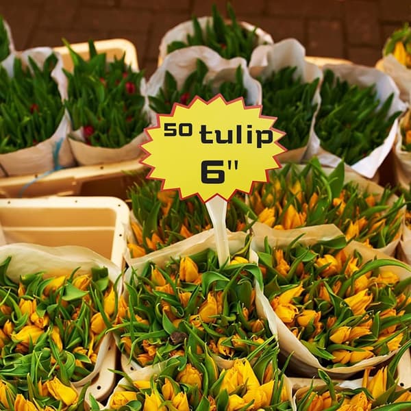 100 stk. papiretiketter for utsalgspris 3,2 x 4,3 tommer