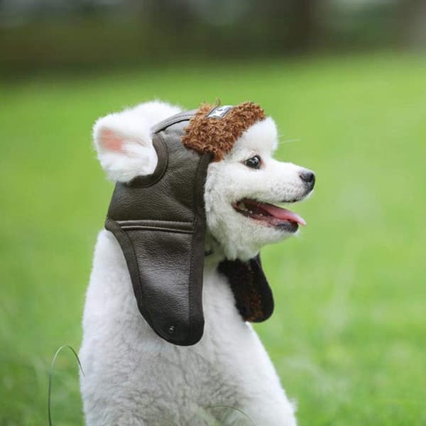 Hunde Aviator Hat Vindtæt Kæledyr Hat Julekostume - Størrelse M (Brun)