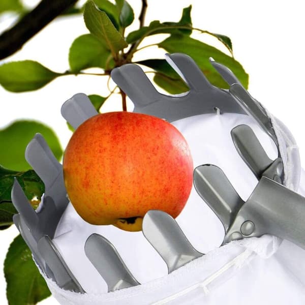 Fruktplukker Høsteverktøy, Diameter 14 CM, for Plukking av Høye Frukter