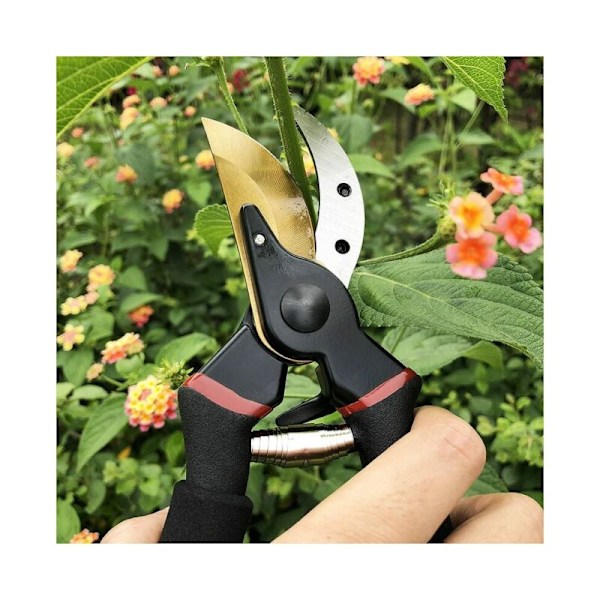 Hagesaks Stålblad og titan blomster meisler bypass tre ergonomiske håndtak