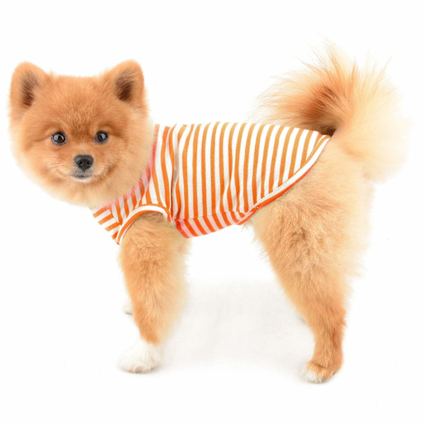 Randiga hundtröjor för små och medelstora hundar och katter, mjuk bomullsväst, t-shirt, husdjur, sommar, utomhuskläder, S