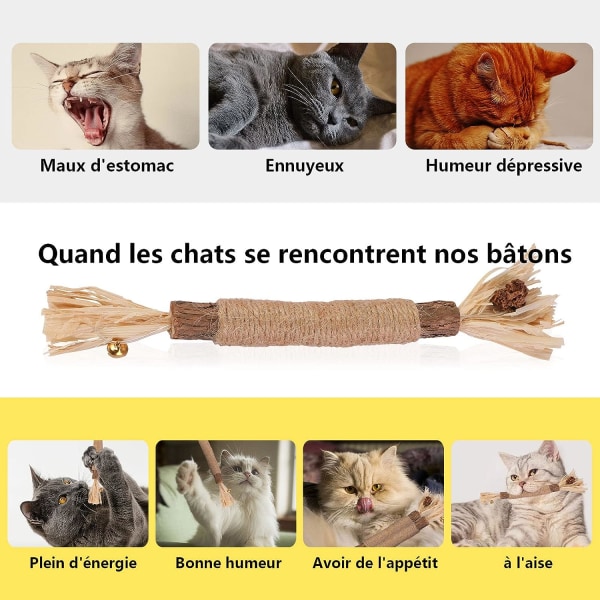 5 kattetyggepinner gressleke for rengjøring av kattenner sølvvin innendørs
