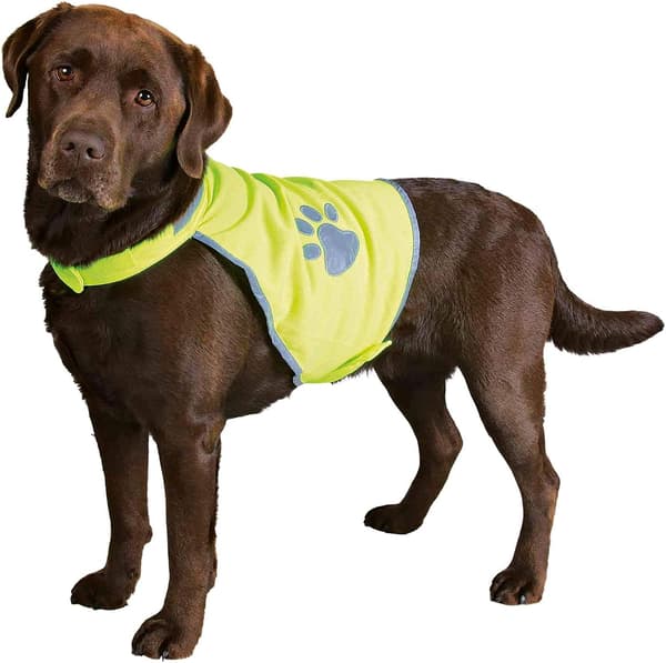 M/40*60cm Hund Sikkerhetsvest Størrelse