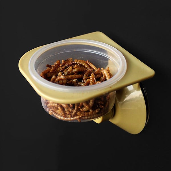 Sugekop Reptile Vand Mad Feeder Vægmonteret Fodringsskål Spider Opdræt Boks Tank Skål Pot（enkelt skål）