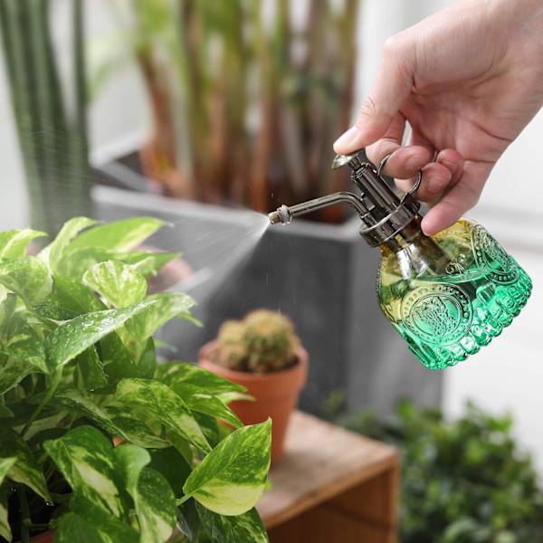 Retro dekorativ glasplantevandkande med top pumpe til indendørs planter glasbeholder (grøn)