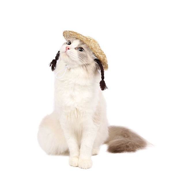 Katt Flätad Halmhatt Solhatt Sundress Kanin Dekor Katt Kostymhatt Mini Halmhatt Katt Solhattar Valp Dekorativ Hatt