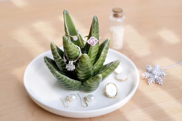 Pudding Hut Aloe Vera Ringhållare, Kaktus Ringbricka, Smyckeshållare Smyckesbricka för Ring Örhänge Halsband Organizer, Damjulklapp, Damer
