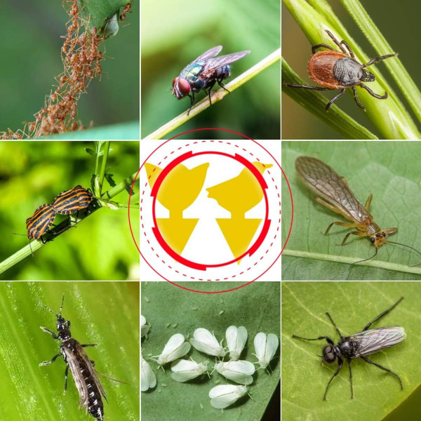 48 stk gule fluer feller gule klistremer beskyttende plante mot bladlus, bladlus og skadedyr