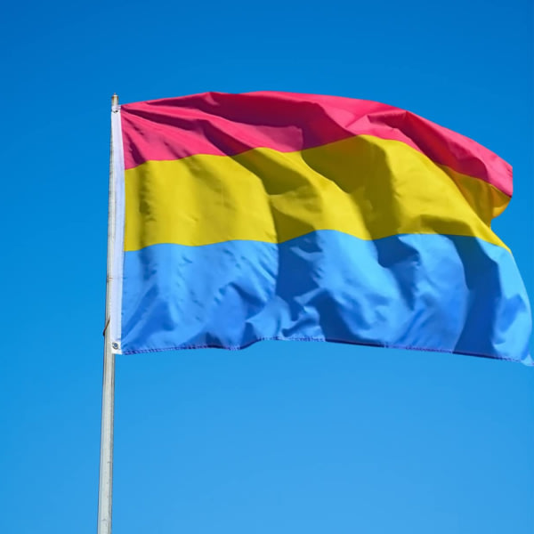 Pansexual Pride Flag 3x5ft - Regnb?gsflagga Levande f?rg och bleknar