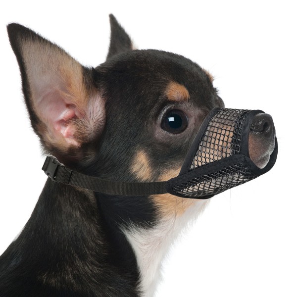 Hundmask, mjuk mesh , lämplig för små och medelstora hundar, Chihuahua, Pudel, Husky, Labrador Retriever, hund som andas, lämpar sig för Black S Black S