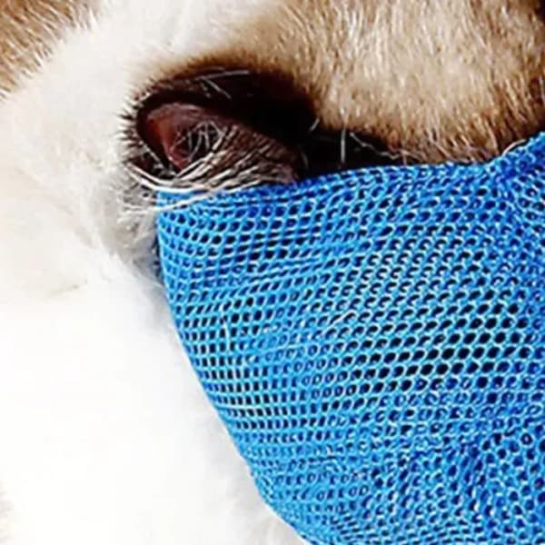Kattmunkorgar, ventilerande nät - justerbara