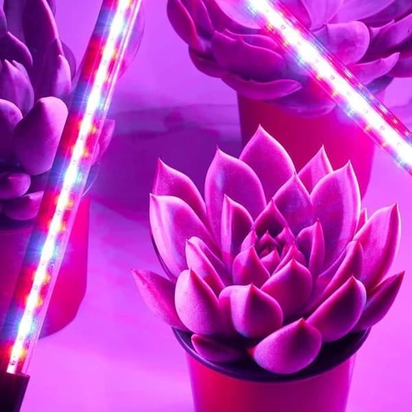 LED vækstlys - 4 rør - Simuleret sollys til sukkulenter og græsplæner, med timer og klemme, multifunktionslampe