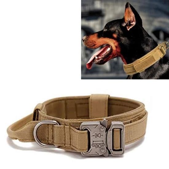 Hundhalsband - XVX - Brun - Justerbart - Nylon - Bekvämt och hållbart