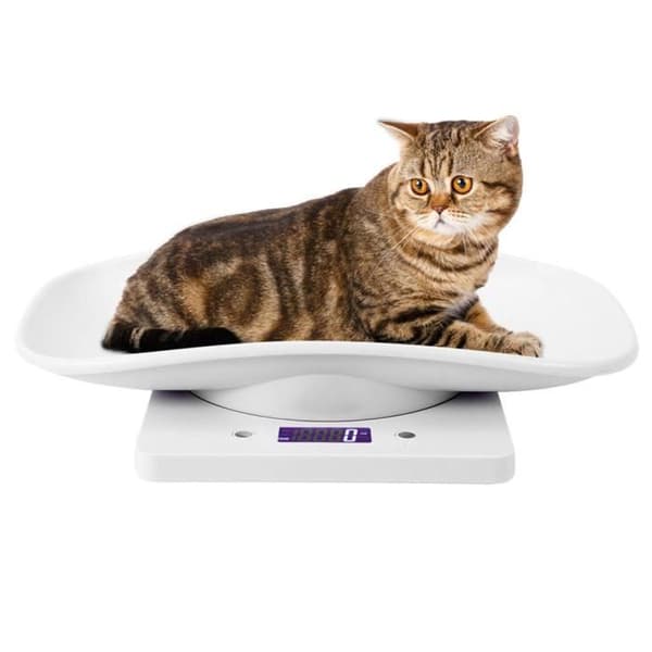 Digital husdjursvåg - 10 kg / 1 g - Vit