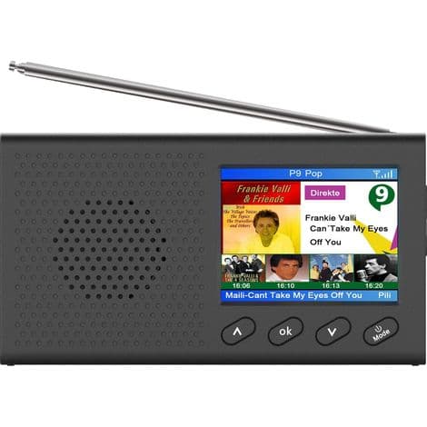 Bærbar DAB+ FM-radio med farveskærm, Bluetooth og program-/vejrvisning