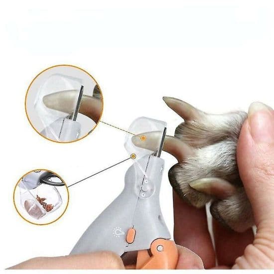 Nagelklippare - Professionell - Hund - LED - Rostfritt stål - Stänksäker