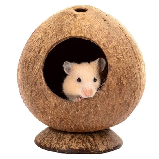 Hamsterhus - GIGICIAL - Kokosnøttskallhus - Brun - 13,5 x 12 cm - Innendørs