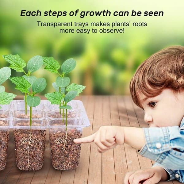 10-pack fröbrickor med kupol och bas. Etikett