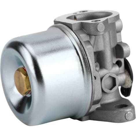 Briggs & Stratton Forgasser (pakning inkludert) — 498965