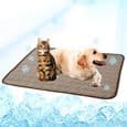 Selvkølende kæledyrsmåtte, is-silketæppe til hunde og katte, ideel til biler, 100*70 CM
