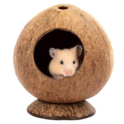 Hamsterhus - GIGICIAL - Kokosnøttskallhus - Brun - 13,5 x 12 cm - Innendørs