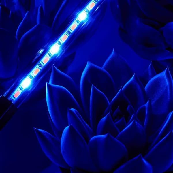 LED vækstlys - 4 rør - Simuleret sollys til sukkulenter og græsplæner, med timer og klemme, multifunktionslampe