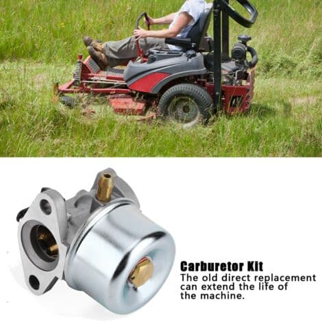 Briggs & Stratton Forgasser (pakning inkludert) — 498965