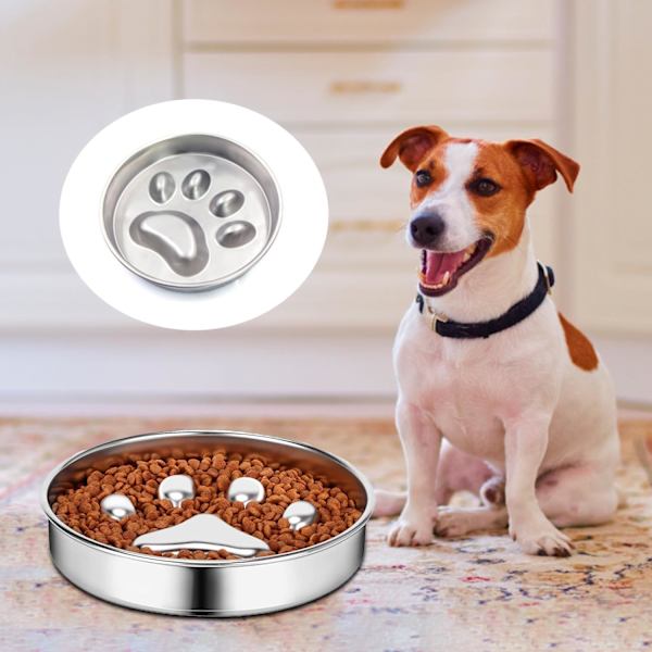 Antigluggande hund- och kattskål - Rostfritt stål, halkfri, långsam utfodring, främjar en hälsosam matsmältning
