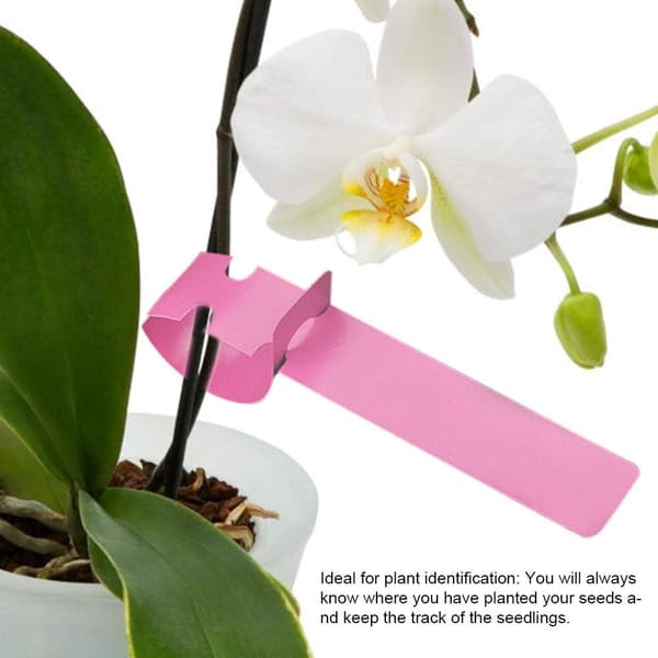 100 st vattentäta blomsterformade växtmarkeringar i plast för gräsmattor (rosa) Pink