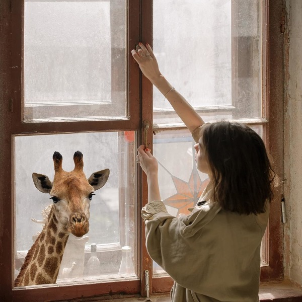 4 st roliga giraffväggfönsterdekaler Söta djurdekaler Realistisk kika (stil 2) color 4