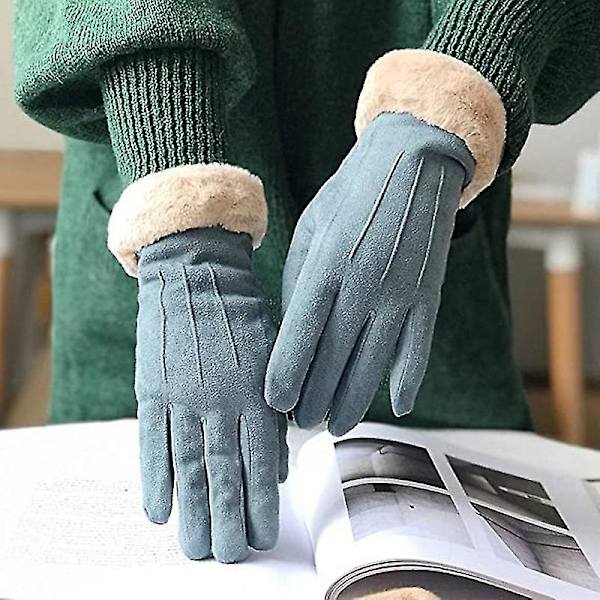 Dam vinter varma vindtäta handskar i mocka för textning, grå grey