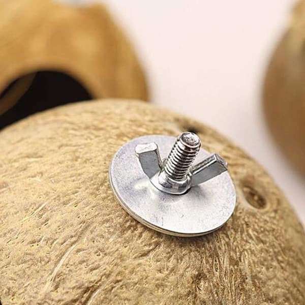 Kokosnøttskall fuglerede fugleslag seng rede fugl papegøye hamster