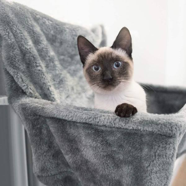 Kattens radiatorbädd - Hängande plyschkorg hängmatta med kudde och justerbar metallram - Grå