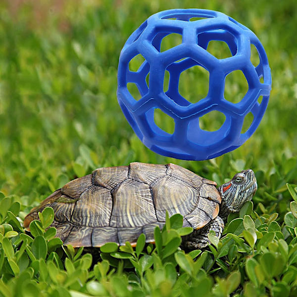 Sköldpaddsmatboll Leksak Höfoder Hängande Matning Gräsboll Hållare Leksak, Blå blue