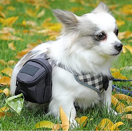 Hunde-affaldsposeholder til enhver hundesnor og affaldspose, affaldsposedispenser, hunde-affaldsposedispenser, sort black