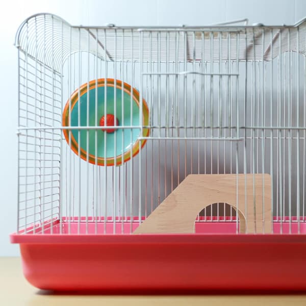 Dekorativ Hamsterhytte Skjulested Træhus Hamster Trappe Skjulested