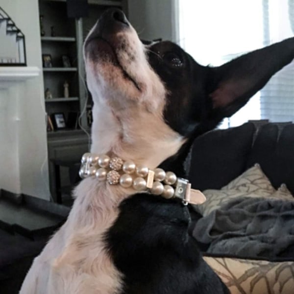 Bling Rhinestone Pet Dog Smycken Chihuahua Hundhalsband, Halsband Kristallsmycken (S 1,5X29,5CM)